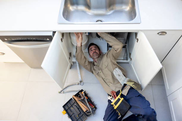 Best 24-Hour Plumber Near Me  in Ripley, TN