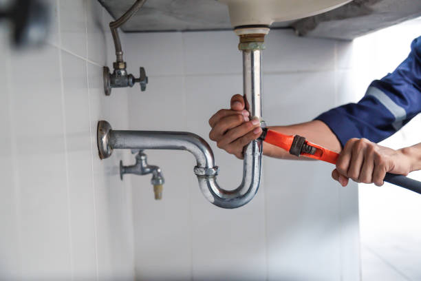 Best Shower Repair Services  in Ripley, TN