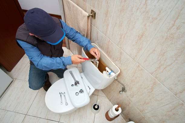 Best Best Plumbers Near Me  in Ripley, TN